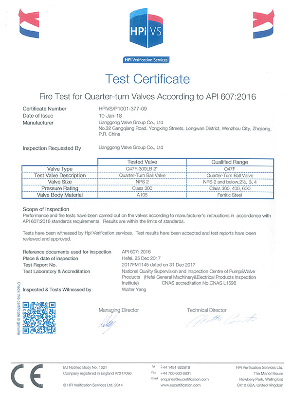 HPiVS-P1001-377-09
