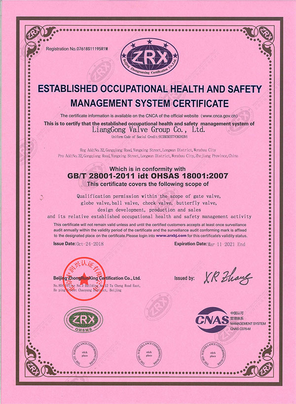 Occupational health and safety management system certification
